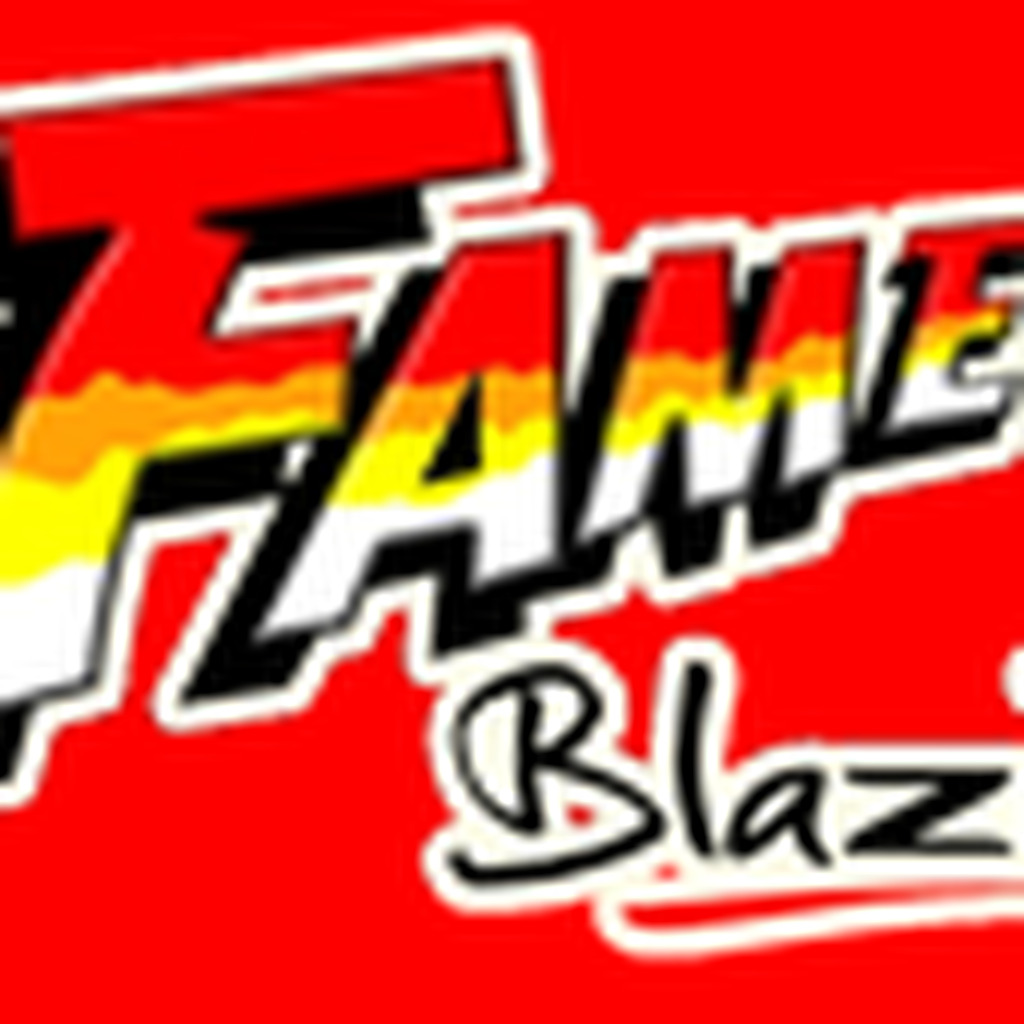 FAME 95 FM