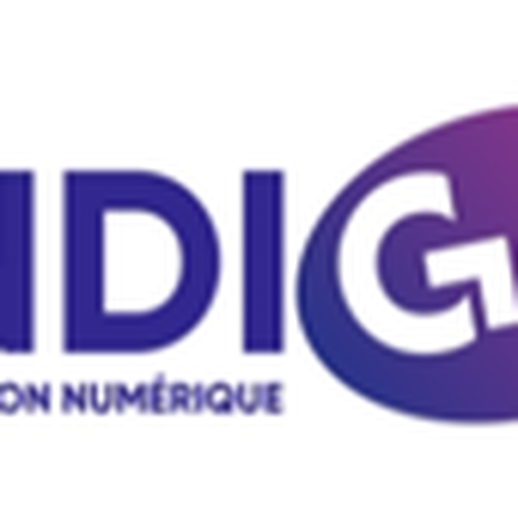 INDIGO GUYANE