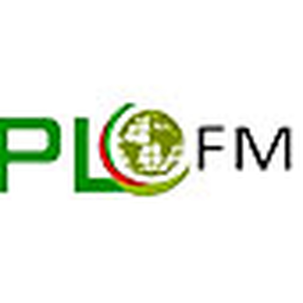 PLFM Radio