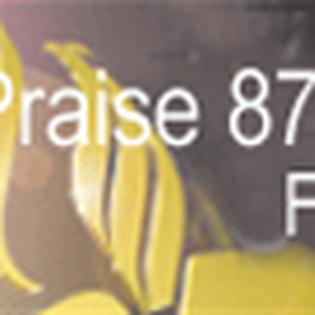 PRAISE 87.9 FM