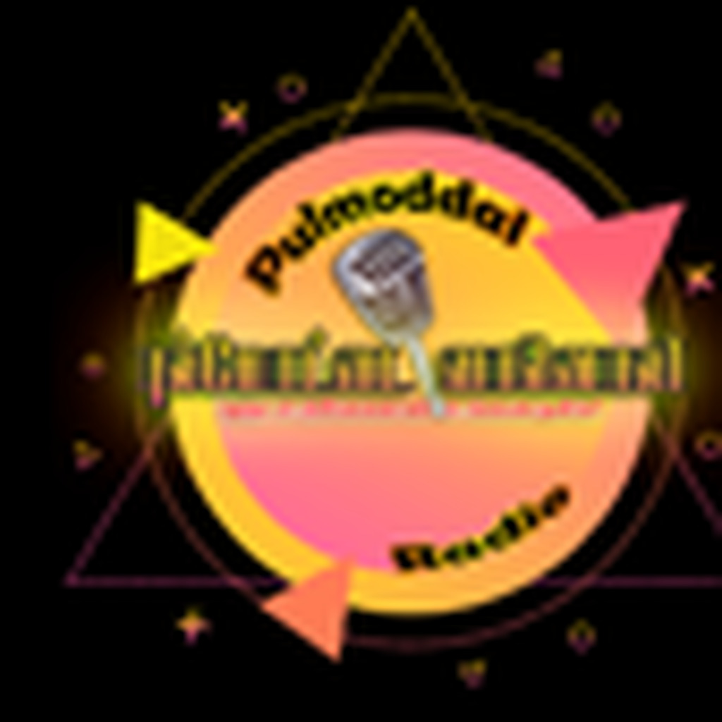 Pulmoddai Radio