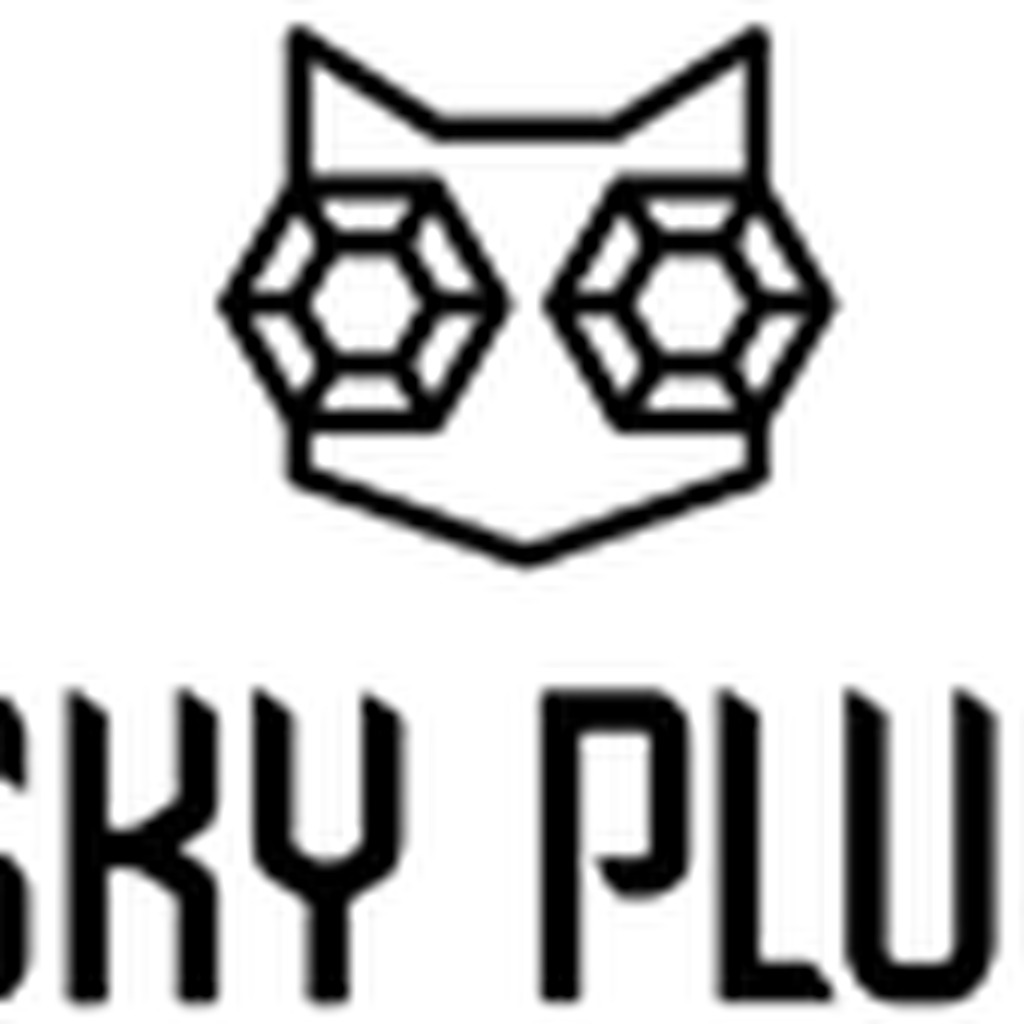 Sky Plus