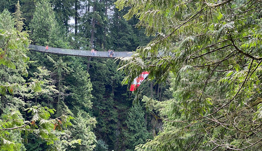 Vancouver’s Growing Diversity: Population Reaches 662,000 with Nearly Half Born Abroad